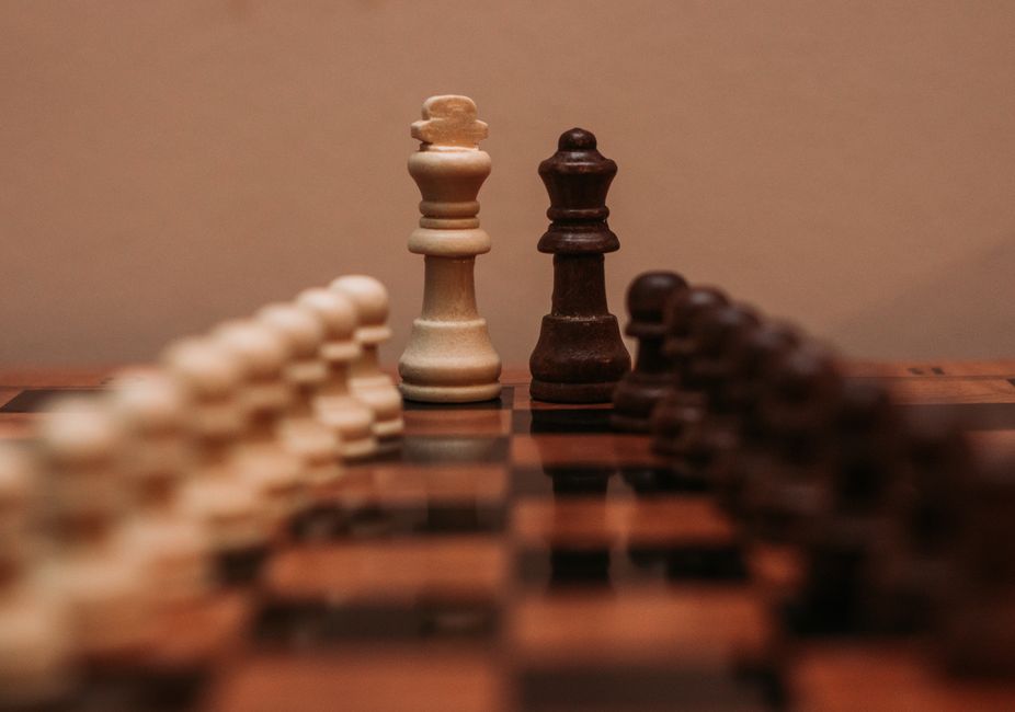 King and Pawn Endgames: The Basics That Win Games